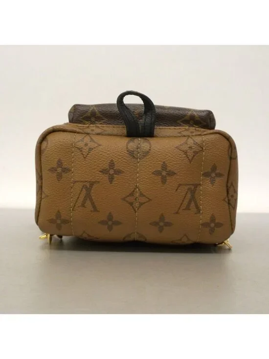 Louis Vuitton Backpack Monogram Reverse Palm Spring Mini Brown - Picture 3 of 10